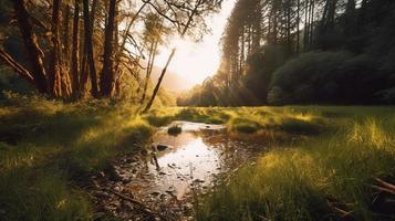 un pacífico bosque claro bañado en calentar luz de sol, rodeado por alto arboles y lozano follaje, con un amable corriente goteando mediante el maleza y un distante montaña rango visible foto