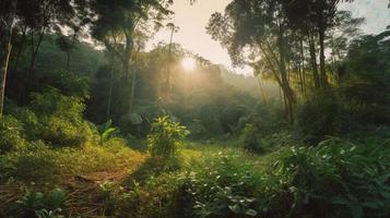 A peaceful forest clearing bathed in warm sunlight, surrounded by tall trees and lush foliage, with a gentle stream trickling through the undergrowth and a distant mountain range visible photo