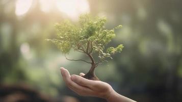 Artistic Hands Embrace Nature's Beauty Holding Tree Over Blurred Background photo