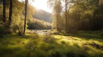 A peaceful forest clearing bathed in warm sunlight, surrounded by tall trees and lush foliage, with a gentle stream trickling through the undergrowth and a distant mountain range visible photo