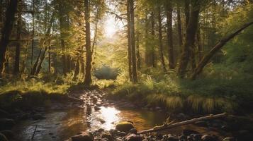 A peaceful forest clearing bathed in warm sunlight, surrounded by tall trees and lush foliage, with a gentle stream trickling through the undergrowth and a distant mountain range visible photo