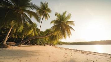 Tropical Paradise or Coconut Palm Beach or White Sand Lagoon photo