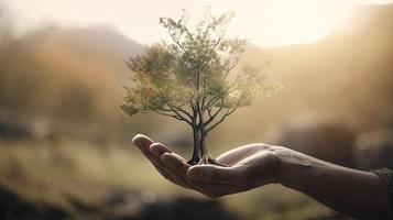 Artistic Hands Embrace Nature's Beauty Holding Tree Over Blurred Background photo