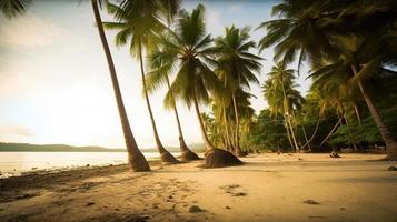 tropical paraíso o Coco palma playa o blanco arena laguna foto