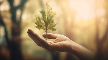 Artistic Hands Embrace Nature's Beauty Holding Tree Over Blurred Background photo