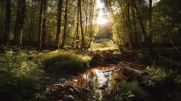 un pacífico bosque claro bañado en calentar luz de sol, rodeado por alto arboles y lozano follaje, con un amable corriente goteando mediante el maleza y un distante montaña rango visible foto