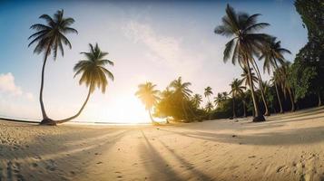 Tropical Paradise or Coconut Palm Beach or White Sand Lagoon photo