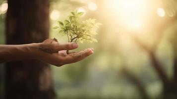 Artistic Hands Embrace Nature's Beauty Holding Tree Over Blurred Background photo