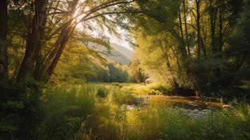 A peaceful forest clearing bathed in warm sunlight, surrounded by tall trees and lush foliage, with a gentle stream trickling through the undergrowth and a distant mountain range visible photo