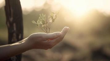 artístico manos abrazo de la naturaleza belleza participación árbol terminado borroso antecedentes foto