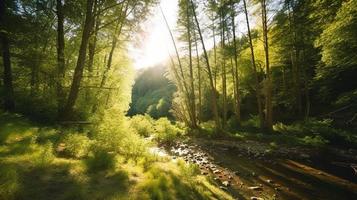 A peaceful forest clearing bathed in warm sunlight, surrounded by tall trees and lush foliage, with a gentle stream trickling through the undergrowth and a distant mountain range visible photo