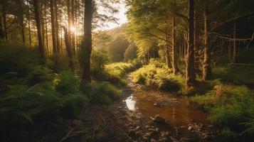 un pacífico bosque claro bañado en calentar luz de sol, rodeado por alto arboles y lozano follaje, con un amable corriente goteando mediante el maleza y un distante montaña rango visible foto