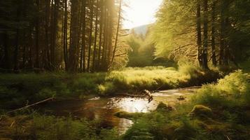 A peaceful forest clearing bathed in warm sunlight, surrounded by tall trees and lush foliage, with a gentle stream trickling through the undergrowth and a distant mountain range visible