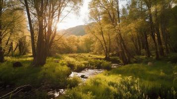 A peaceful forest clearing bathed in warm sunlight, surrounded by tall trees and lush foliage, with a gentle stream trickling through the undergrowth and a distant mountain range visible photo