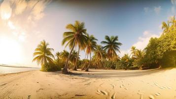 Tropical Paradise or Coconut Palm Beach or White Sand Lagoon photo