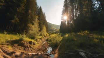 A peaceful forest clearing bathed in warm sunlight, surrounded by tall trees and lush foliage, with a gentle stream trickling through the undergrowth and a distant mountain range visible photo