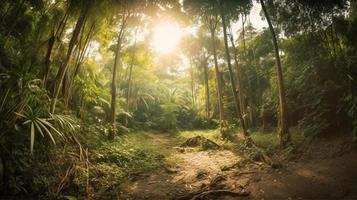 A peaceful forest clearing bathed in warm sunlight, surrounded by tall trees and lush foliage, with a gentle stream trickling through the undergrowth and a distant mountain range visible photo