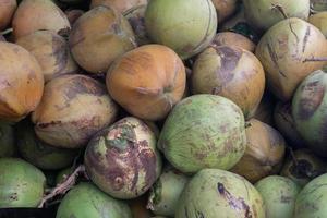 stacks of coconuts ready to produce coconut oil, coconut milk and fresh drinks photo