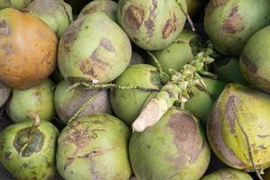 stacks of coconuts ready to produce coconut oil, coconut milk and fresh drinks photo