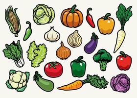 vegetables vintage drawing set vector