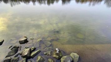 das Fluss Wasser und Felsen im Winter video