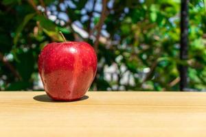 un manzana en un de madera tablero. editado foto. foto