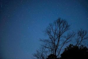 estrella en noche cielo foto