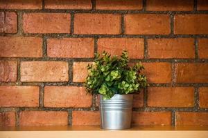 A tree pot against orange brick wall photo