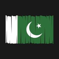 Pakistan Flag Vector