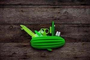 Funny Back to School concept -  cactus pencil case and school supplies on a wood background. Stationery green. photo