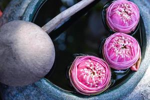 Beautiful lotus floating in a jar with water dipper photo