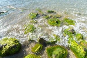 perforación de marea del mar. las olas rompen sobre piedras cubiertas de musgo y algas. hermoso paisaje marino. foto