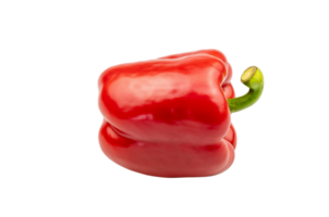 röd klocka peppar isolerat på transparent bakgrund, mogen röd chili, pgn fil png