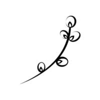 Linear willow twig in doodle style vector