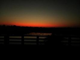 hd puesta de sol noche oscuro color paisaje hd imagen foto
