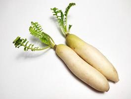 blanco rábano o daikon aislado en blanco antecedentes foto