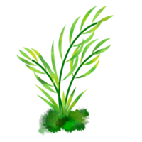 Aesthetic leaf illustration no background png