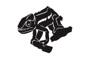 noir silhouette de caméléon png