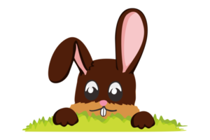 Easter Bunny - Cute Rabbit Hiding Behind the Grass png