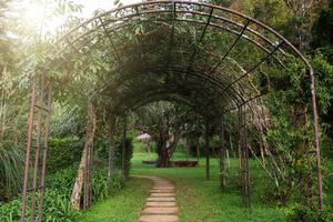 pasarela con árbol arco foto