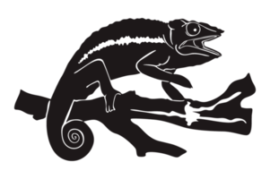 Black Silhouette Of Chameleon png