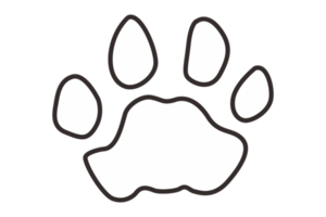 Hund und Katze Pfote png