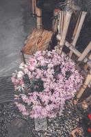 a bunch of pink wild flowers photo