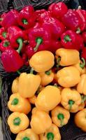 fresh vegetables on a market stall photo