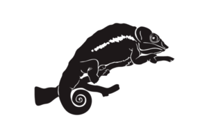 zwart silhouet van kameleon png