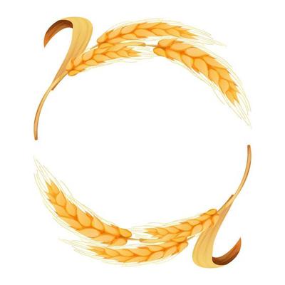 WebWreath from spikelet, golden color wheat round frame in cartoon style isolated on white background. For bakery, tags or labels. Vector illustration