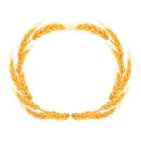 WebWreath from spikelet, golden color wheat round frame in cartoon style isolated on white background. For bakery, tags or labels. Vector illustration