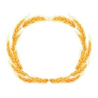 WebWreath from spikelet, golden color wheat round frame in cartoon style isolated on white background. For bakery, tags or labels. Vector illustration