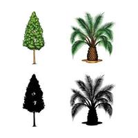 set of two different trees and shadows vector