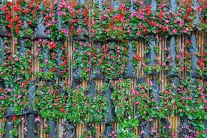 Colorful flower hanging of the wood wall photo